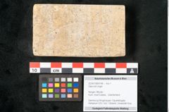 Foto (Objekt + Etikett) von Olea noti Unger (NHMW-GEO-2024-0188-8148)